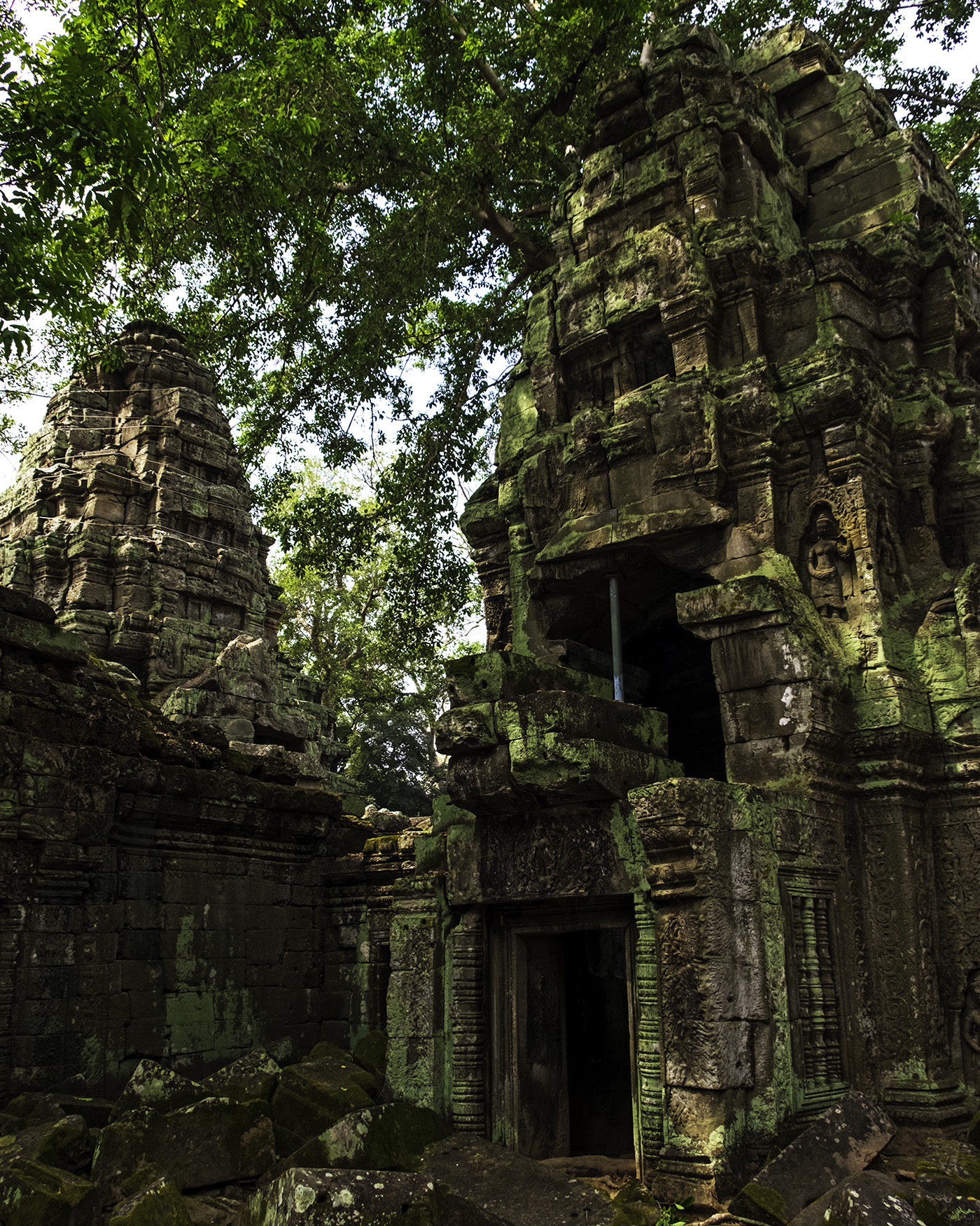 Ta Prohm Temple